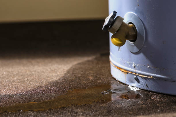 Best Plumbing Leak and Burst Pipe Cleanup in Payson, AZ